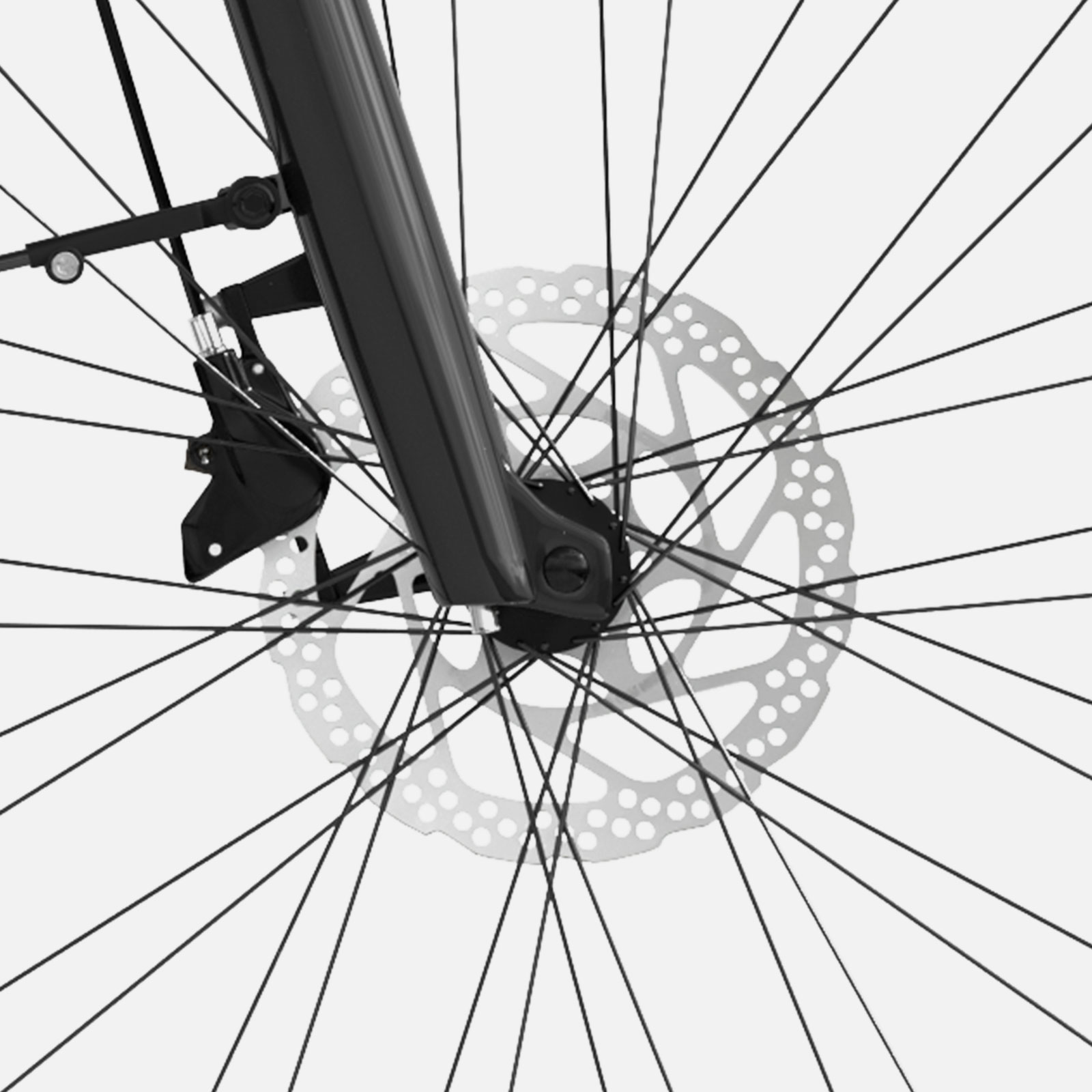 Ride-E1schijfremmen